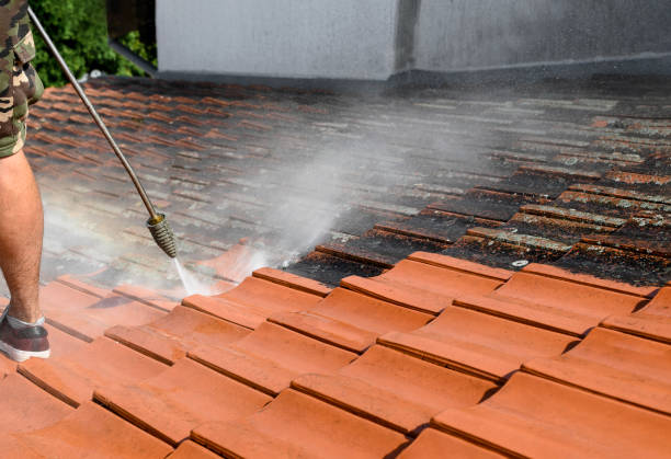 Best Commercial Building Pressure Washing  in Queens, NY